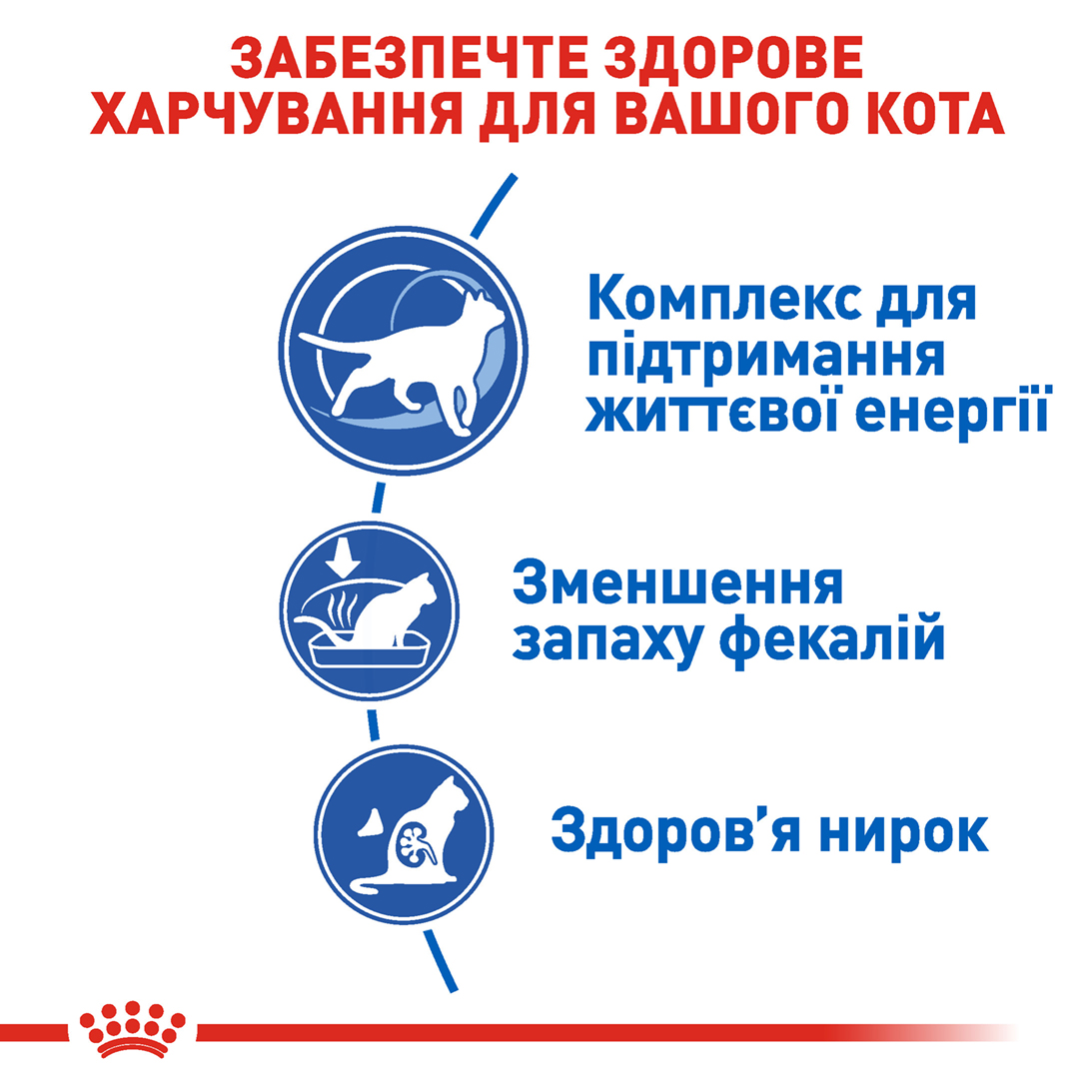 ROYAL CANIN Indoor 7+ Сухой корм для домашних котов5