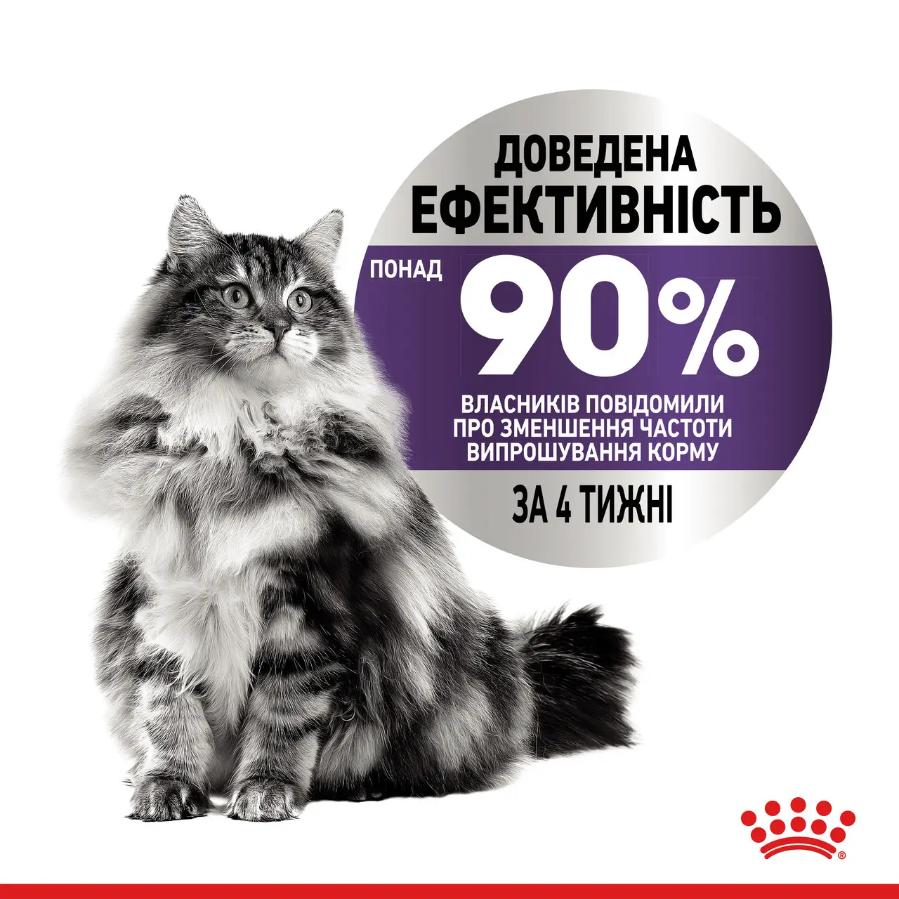 ROYAL CANIN Appetite Control Care Вологий корм для дорослих стерилізованих котів3