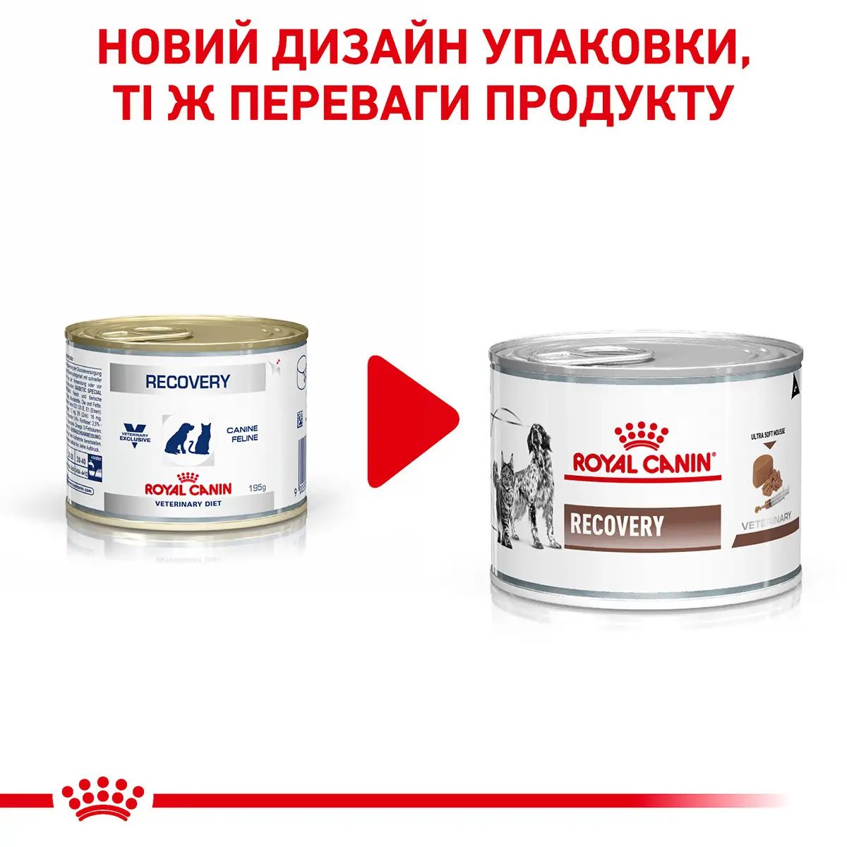 ROYAL CANIN Recovery Вологий корм для дорослих собак та котів1