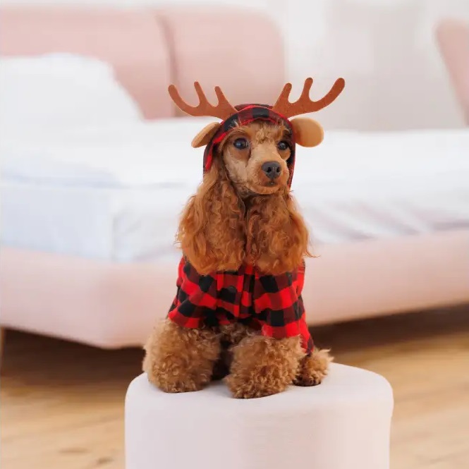 PET FASHION Xmas Костюм для собак4