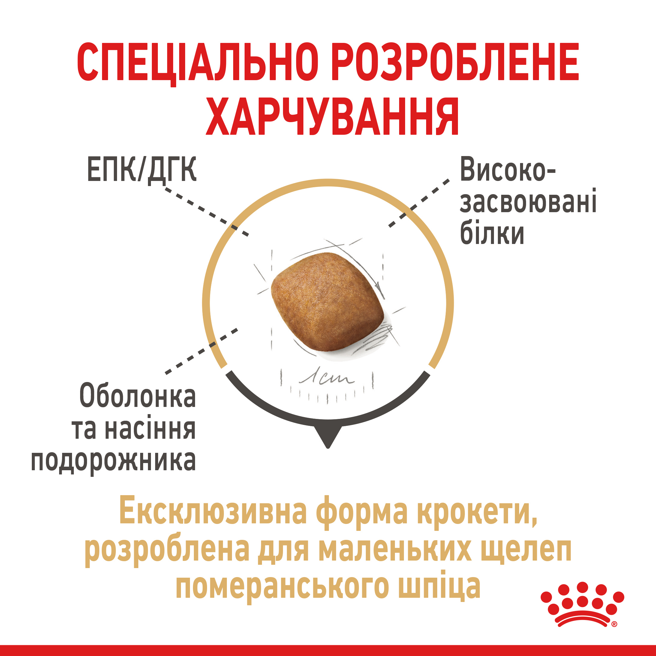 ROYAL CANIN Pomeranian Adult Сухой корм для взрослых собак породы Померанский шпиц3