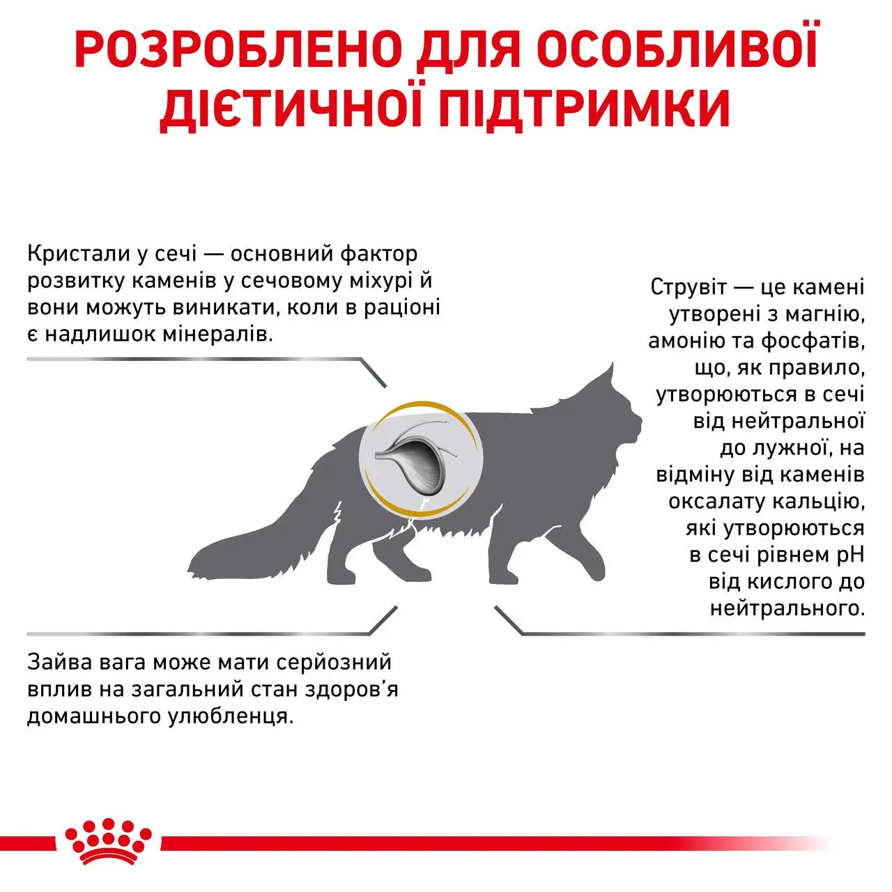 ROYAL CANIN Urinary S/O Moderate Calorie Cat Сухий корм для дорослих котів8