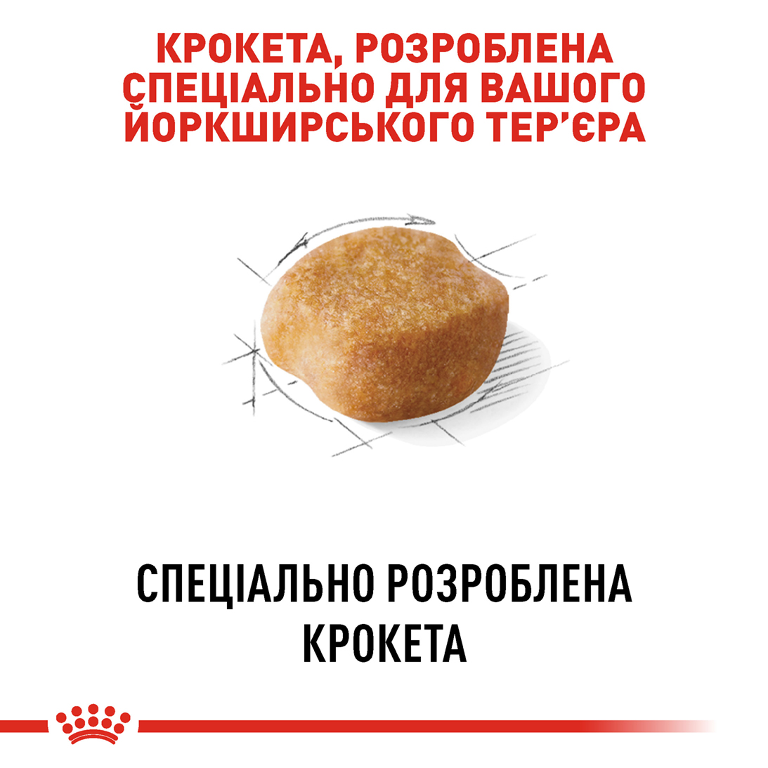 ROYAL CANIN Yorkshire Terrier Adult Сухий корм для дорослих собак породи Йоркширський-тер'єр5