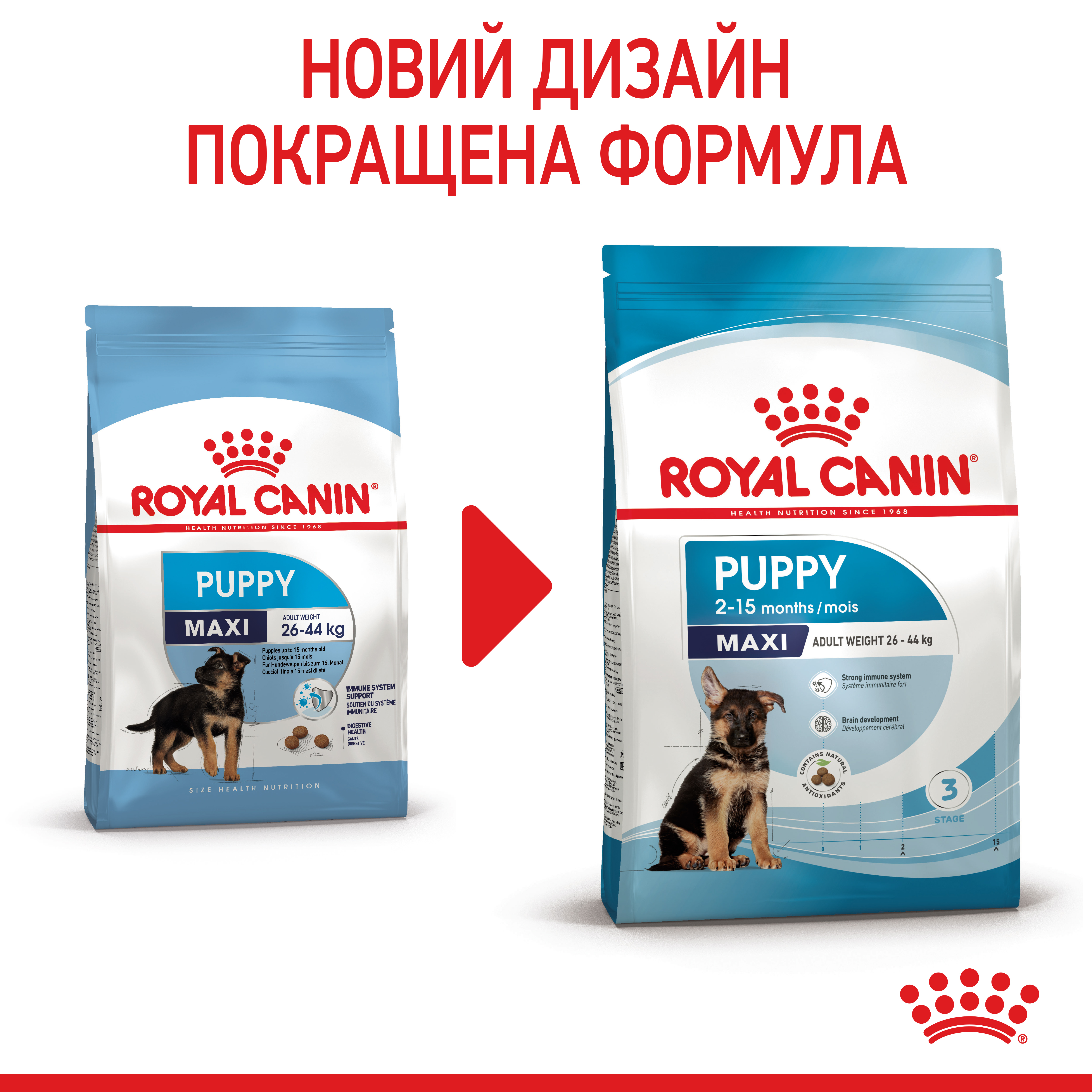 ROYAL CANIN Maxi Puppy Сухой корм для щенков больших пород8