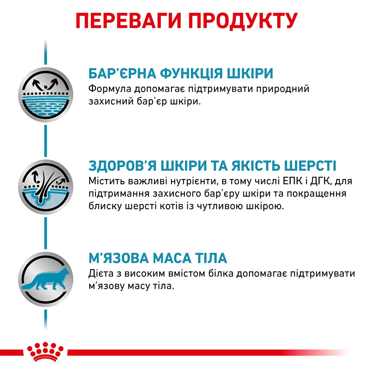 ROYAL CANIN Skin&Coat Cat Сухий корм для дорослих котів7