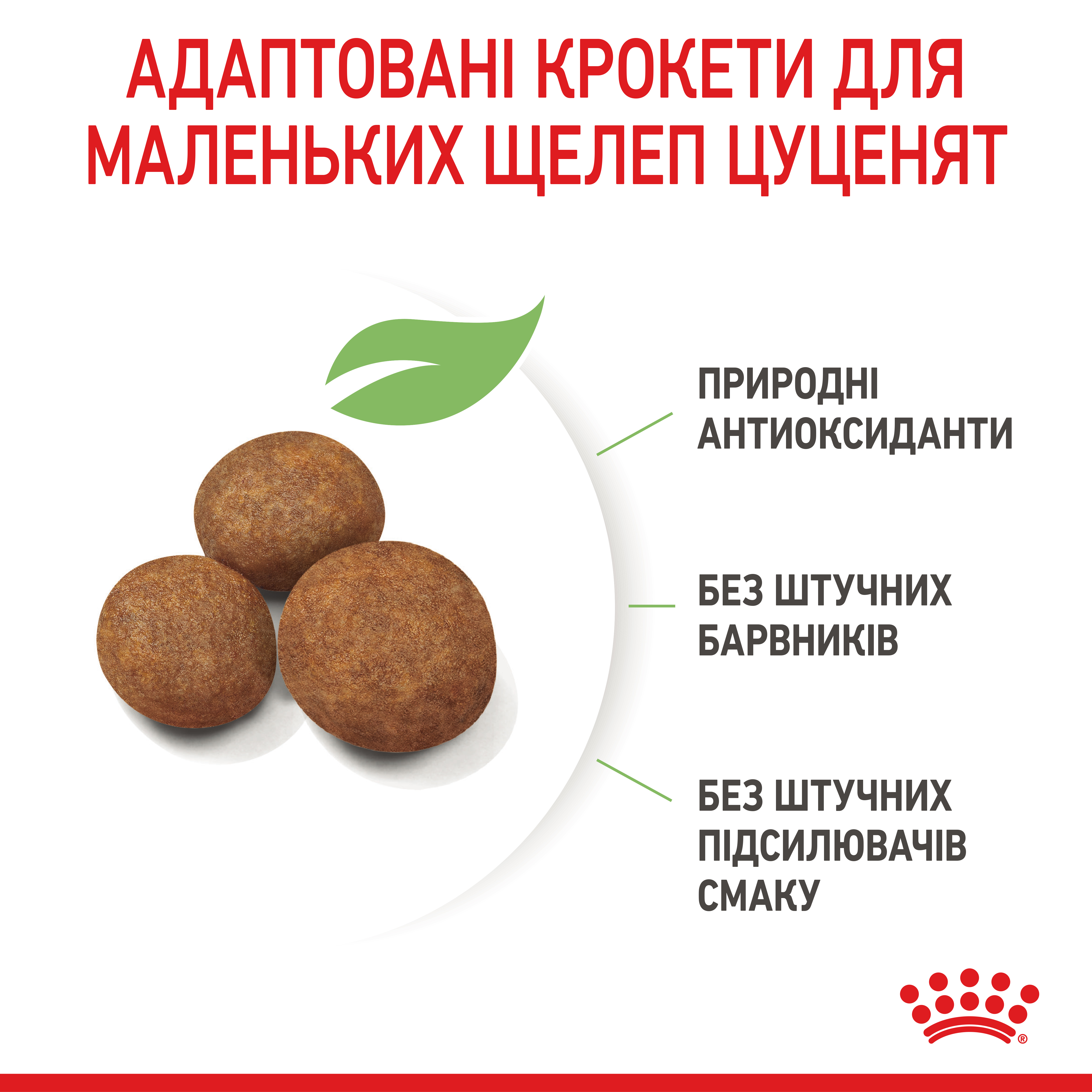 ROYAL CANIN Maxi Puppy Сухий корм для цуценят великих порід7