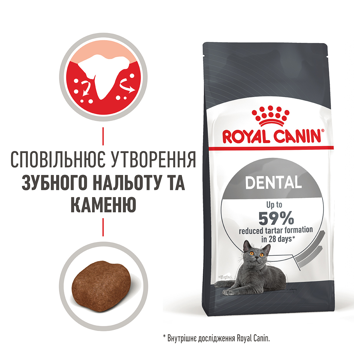 ROYAL CANIN Dental Care Сухой корм для взрослых котов для уменьшения образования зубного налета и камня9