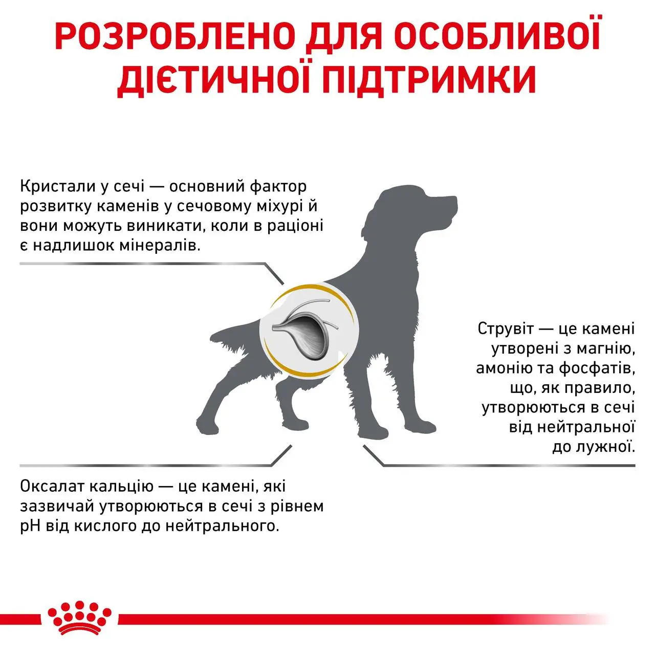 ROYAL CANIN Urinary S/O Dog Сухий корм для дорослих собак8