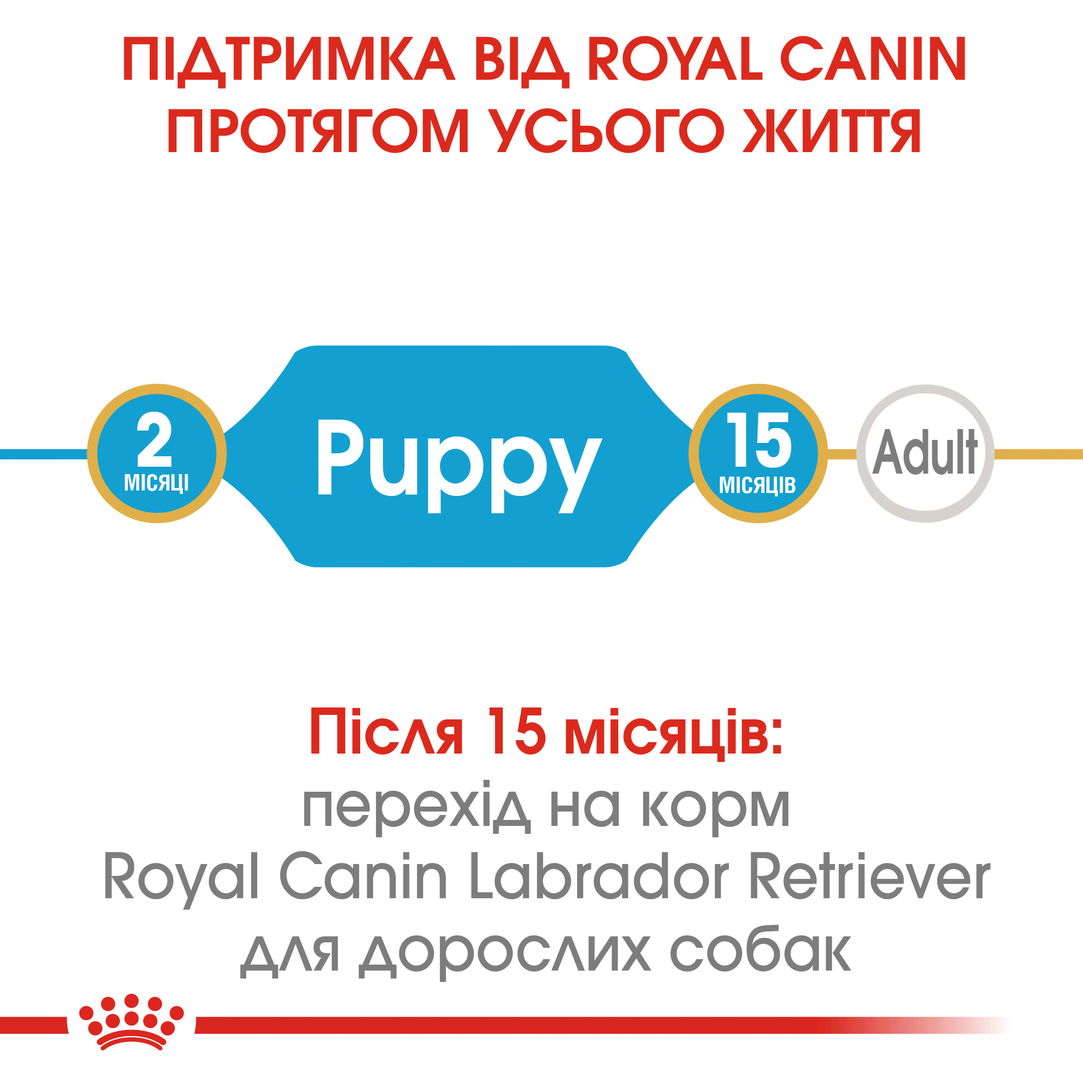 ROYAL CANIN Labrador Retriever Puppy Сухий корм для цуценят породи Лабрадор-ретривер2