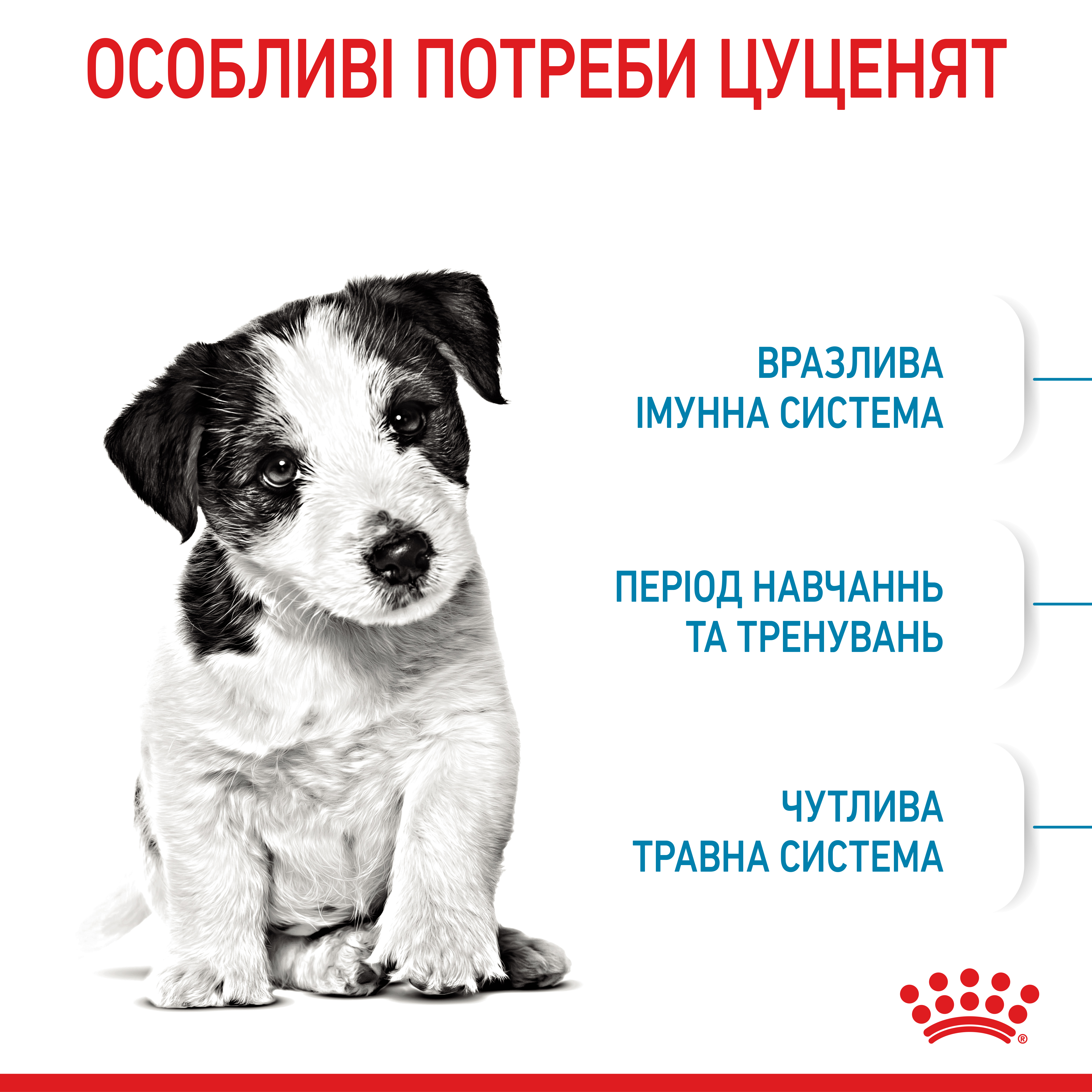 ROYAL CANIN Mini Puppy Сухий корм для цуценят дрібних порід8