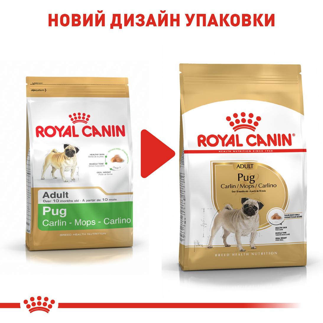 ROYAL CANIN Pug Adult Сухий корм для дорослих собак породи Мопc6