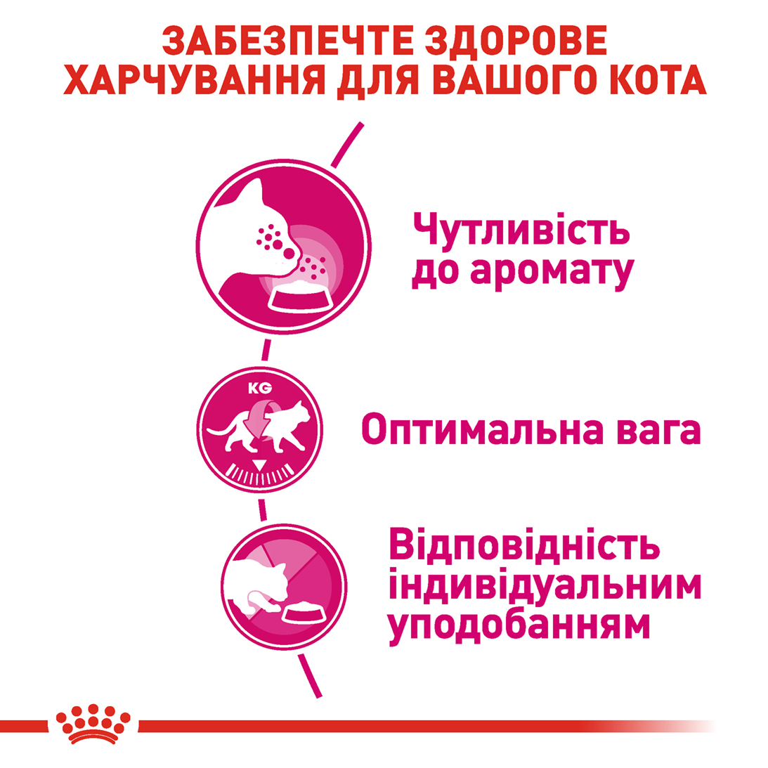 ROYAL CANIN Aroma Exigent Сухой корм для котов привередливых к аромату5