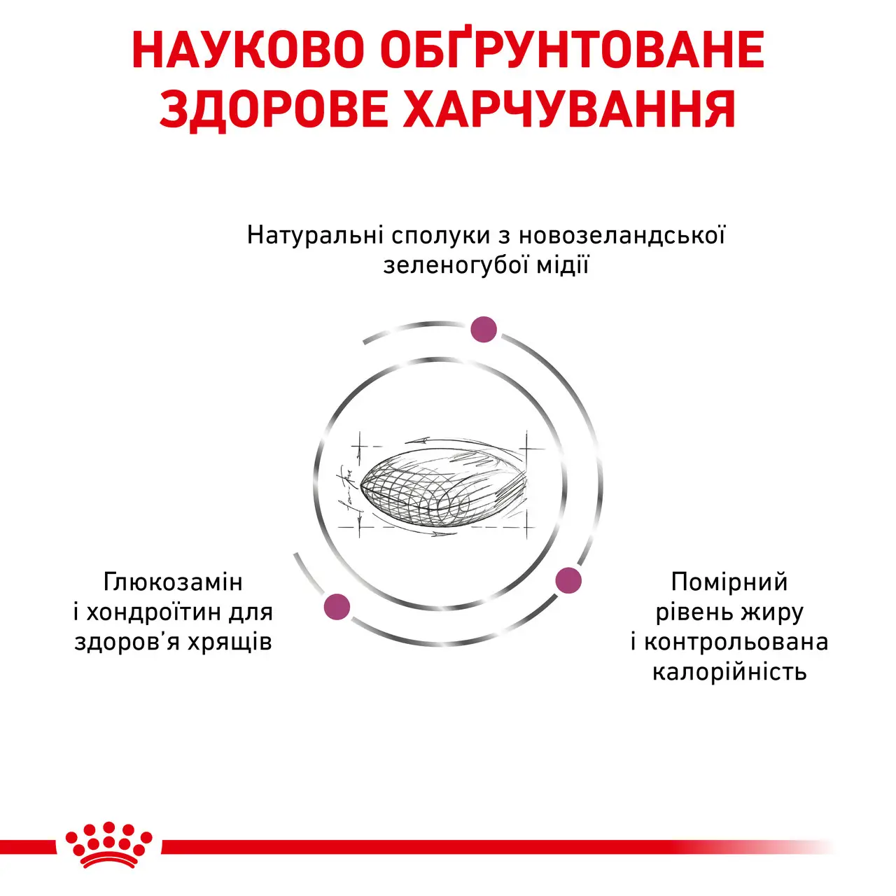 ROYAL CANIN Mobility Support Dog Сухий корм для дорослих собак3