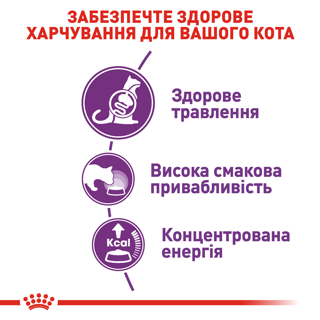 ROYAL CANIN Sensible Сухой корм для взрослых котов с чувствительной пищеварительной системой2