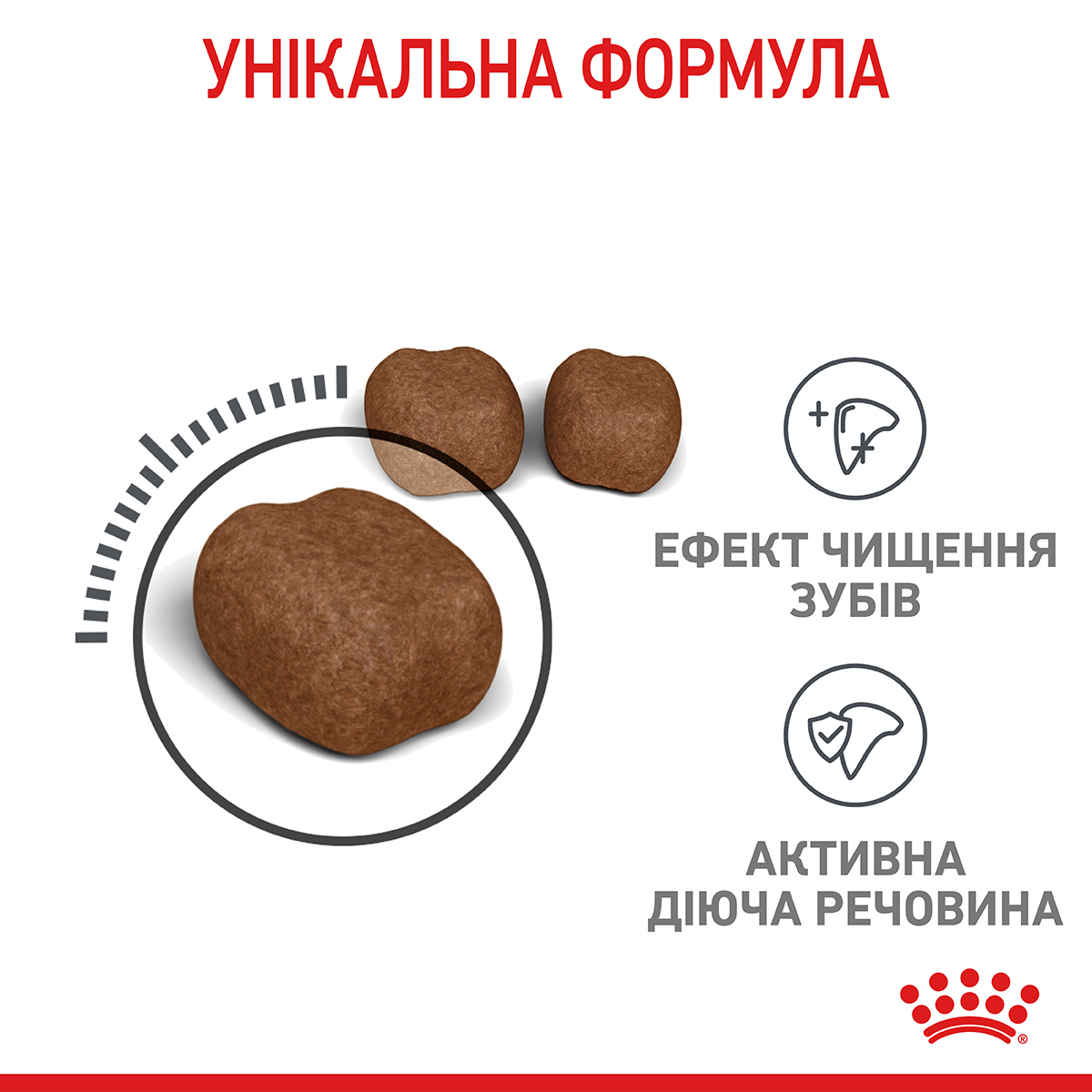 ROYAL CANIN Dental Care Сухой корм для взрослых котов для уменьшения образования зубного налета и камня3