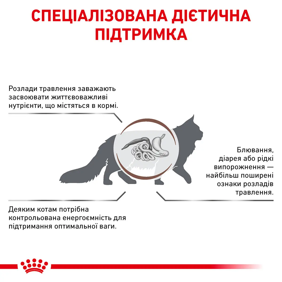 ROYAL CANIN Gastro Intestinal Moderate Calorie Cat Сухий корм для дорослих котів8