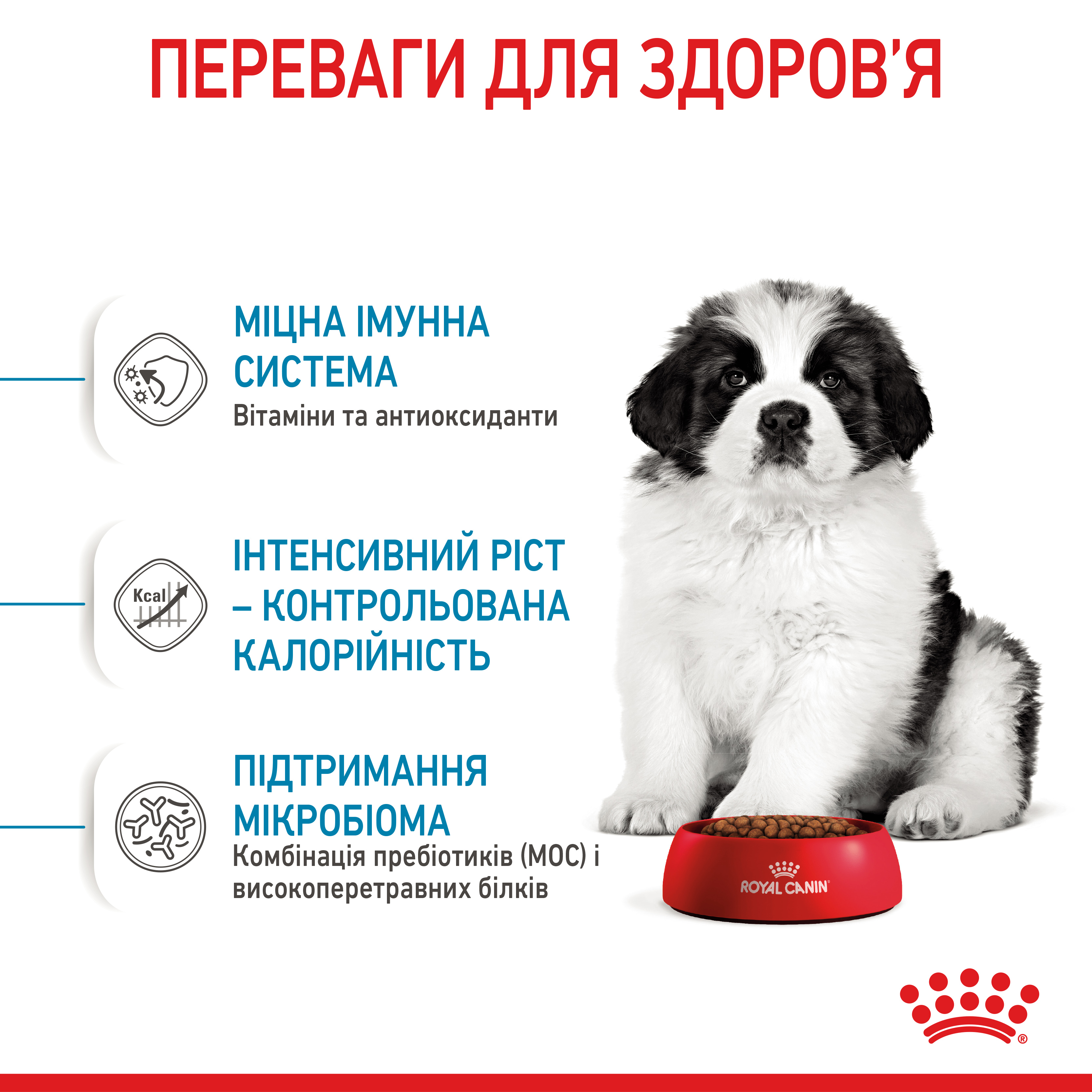 ROYAL CANIN Giant Puppy Сухой корм для щенков гигантских пород до 8 месяцев1