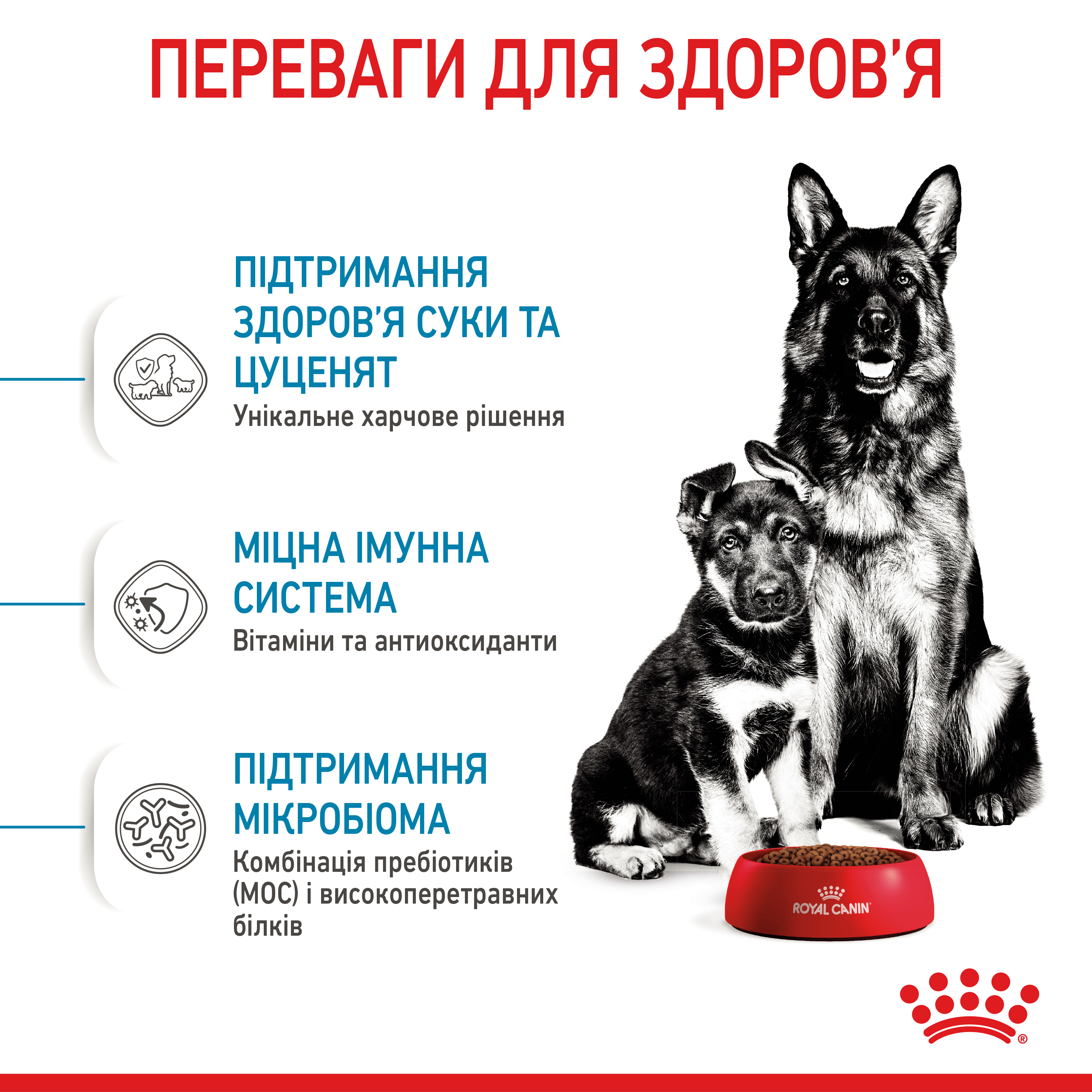 ROYAL CANIN Maxi Starter Сухий корм для годуючих собак великих порід1