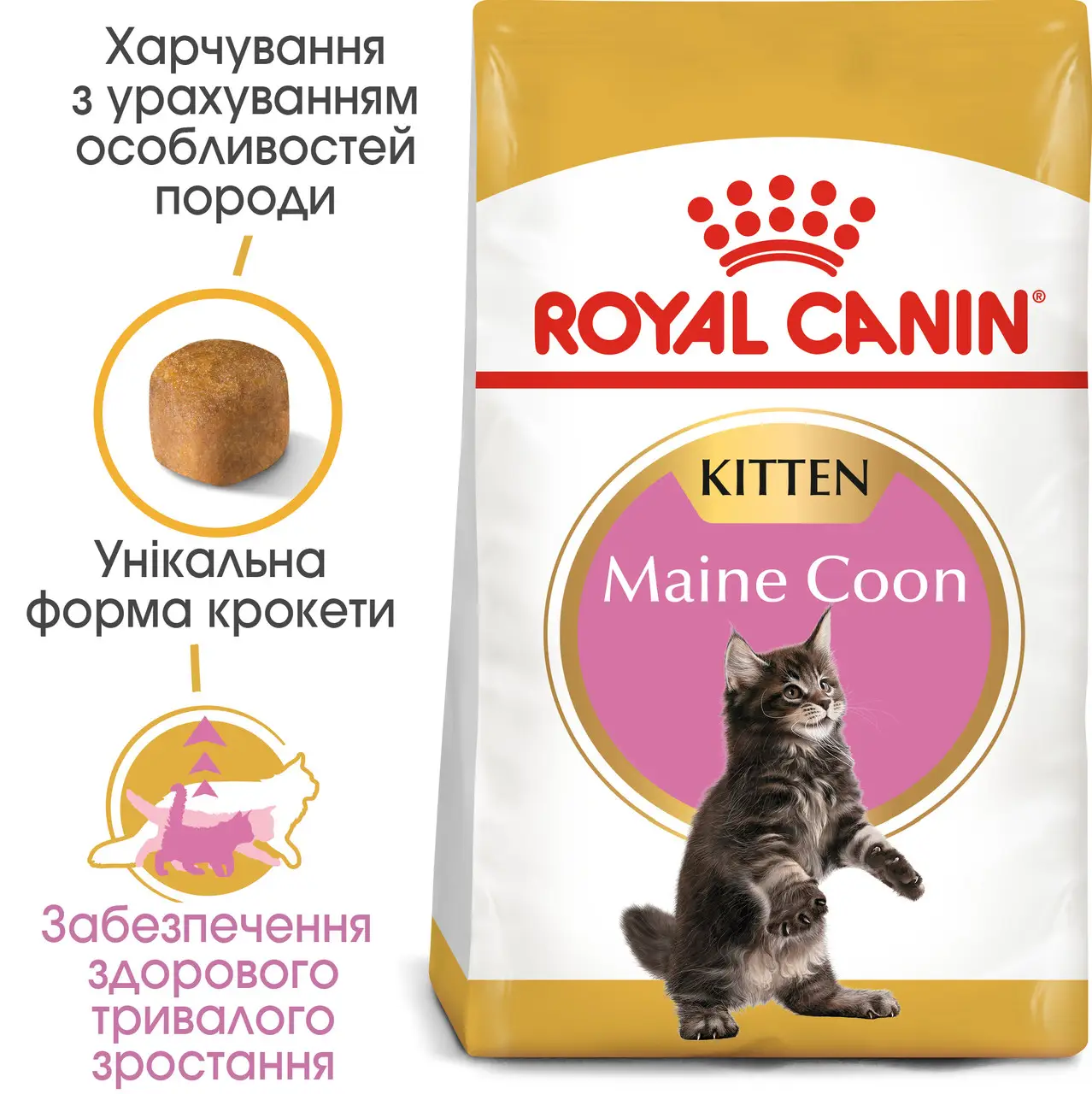 ROYAL CANIN Maine Coon Kitten Сухой корм для котят породы Мейн-Кун5