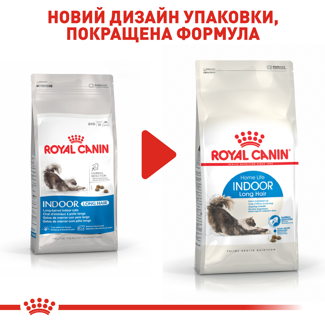 ROYAL CANIN Indoor Long Hair Сухий корм для домашніх довгошерстих котів6