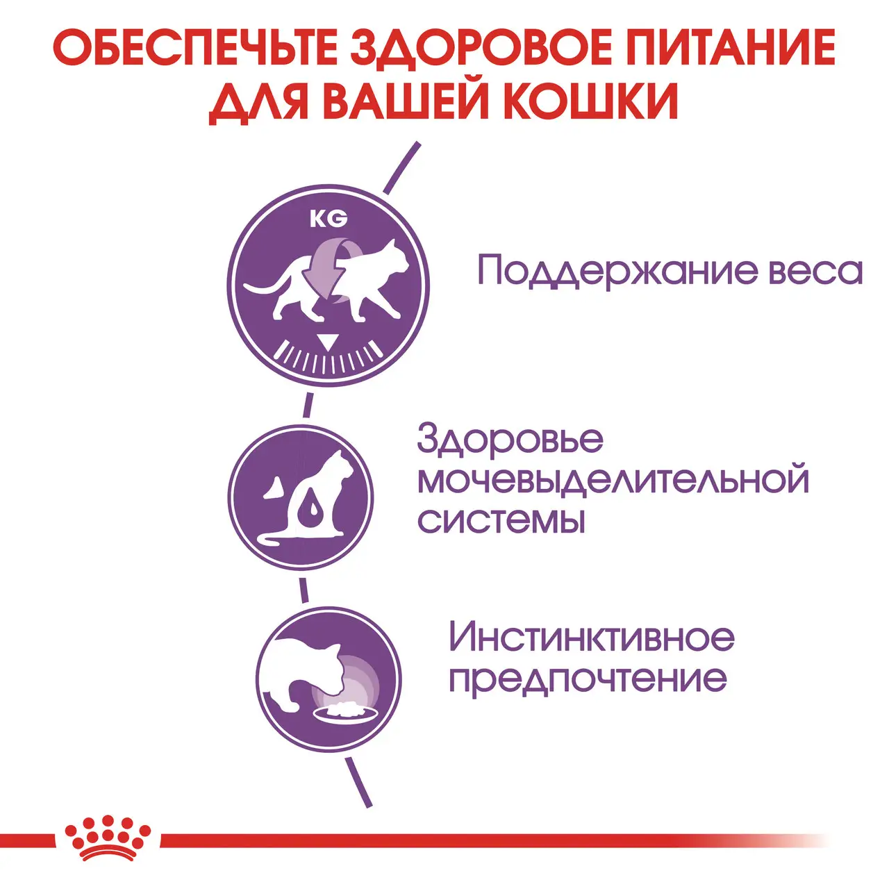 ROYAL CANIN Sterilised Jelly Влажный корм для взрослых стерилизованных котов4