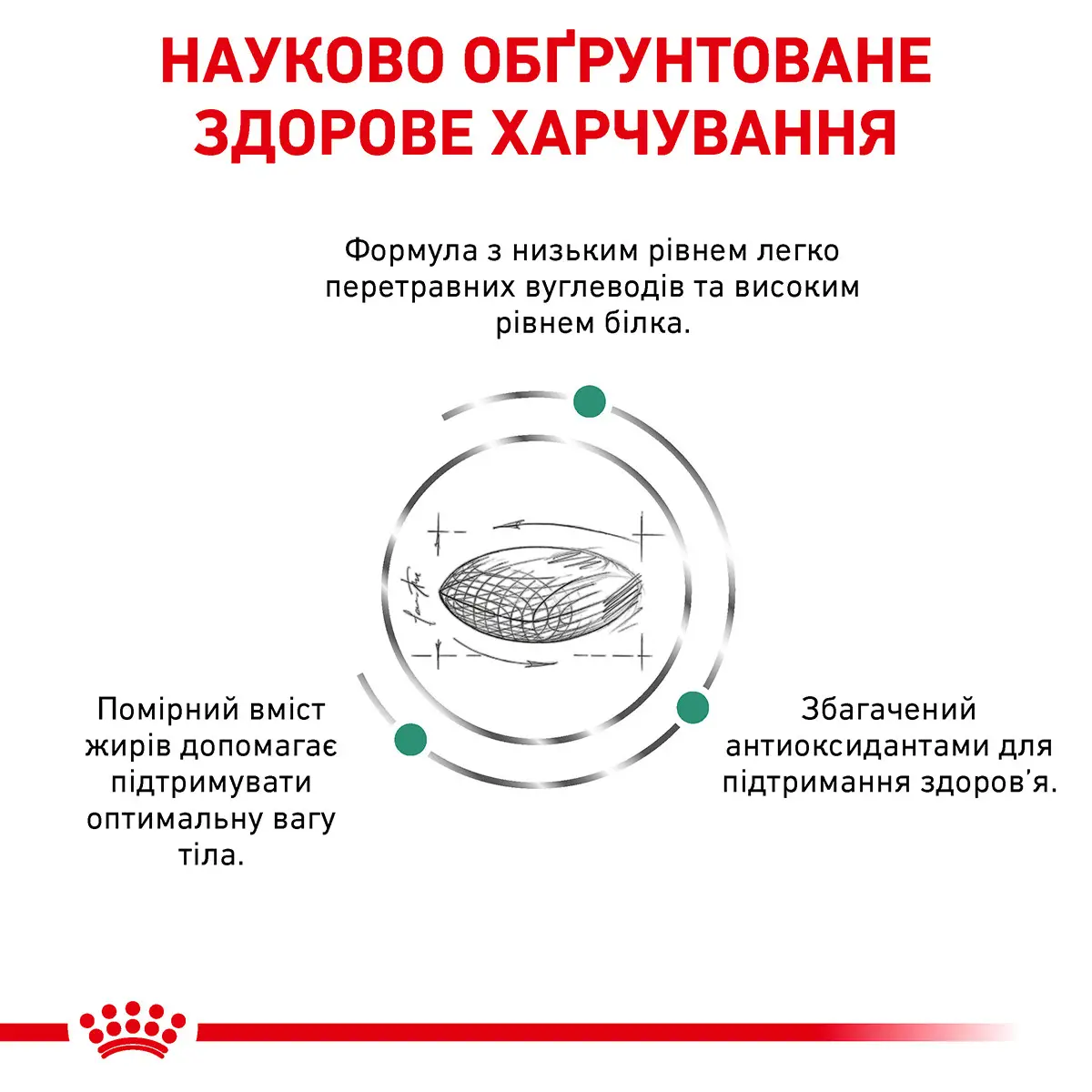 ROYAL CANIN Diabetic Dog Сухий корм для дорослих собак4