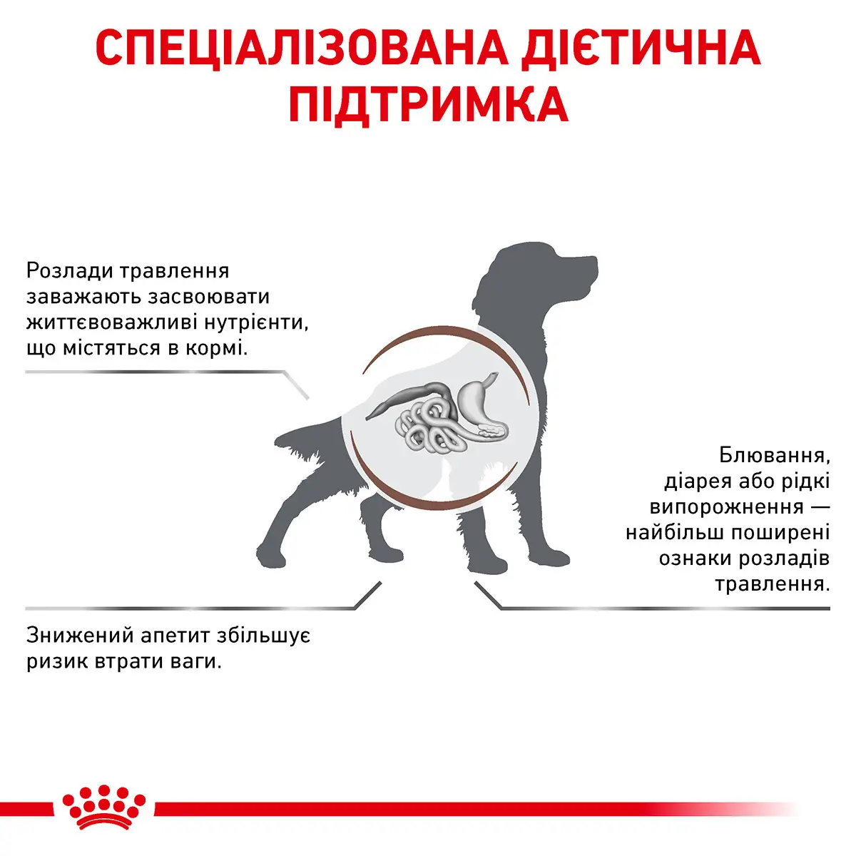 ROYAL CANIN Gastro Intestinal Dog Сухий корм для дорослих собак2