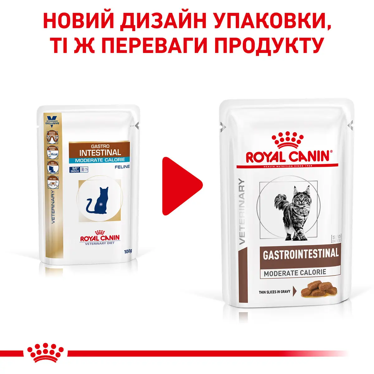 ROYAL CANIN Gastro-intestinal Moderate Влажный корм для взрослых котов4