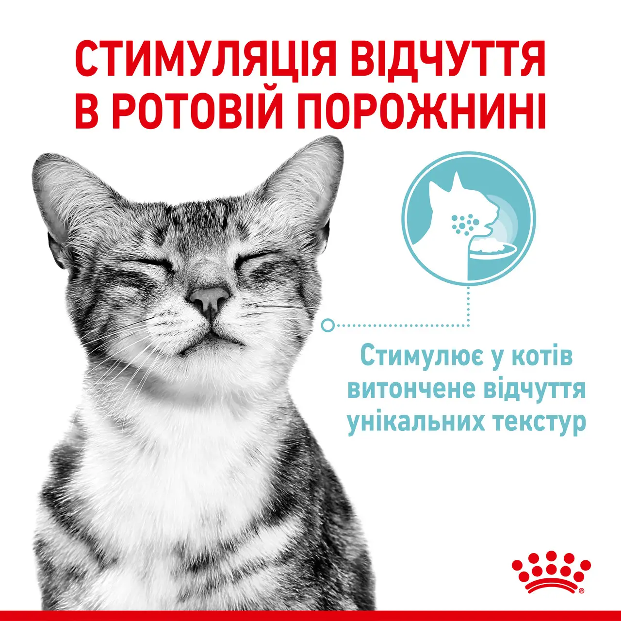 ROYAL CANIN Sensory Feel Jelly Влажный корм для взрослых котов2