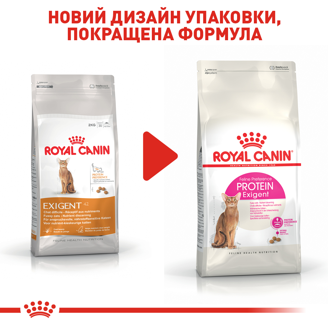 ROYAL CANIN Exigent Protein Сухий корм для дорослих котів вибагливих до поживності раціону6