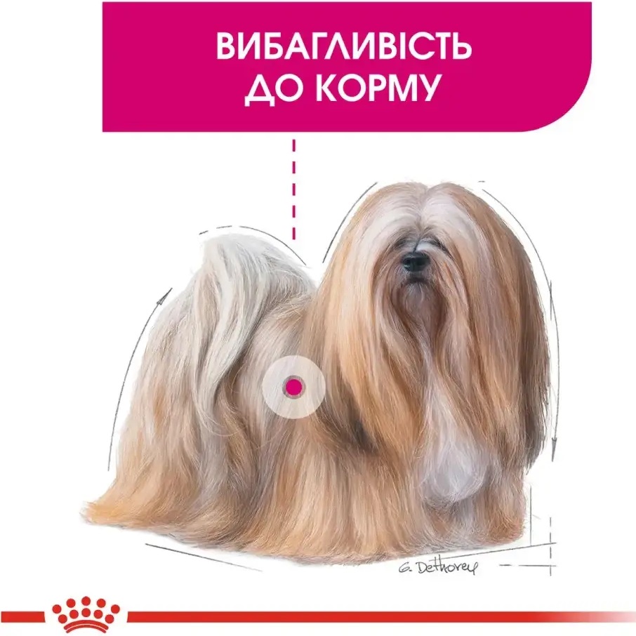 ROYAL CANIN Mini Exigent Сухий корм для вибагливих собак дрібних порід5