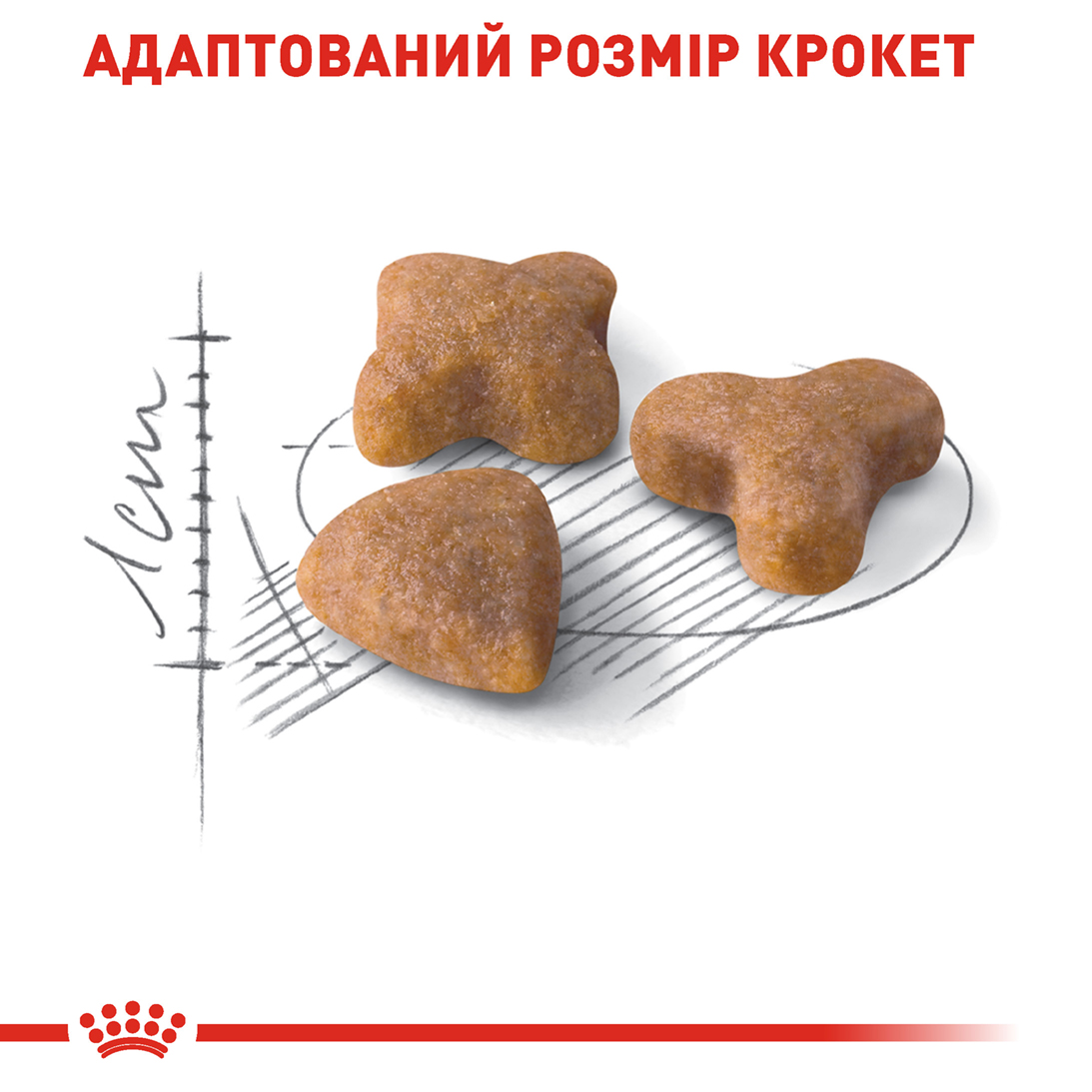 ROYAL CANIN Sensible Сухий корм для дорослих котів з чутливою травною системою4