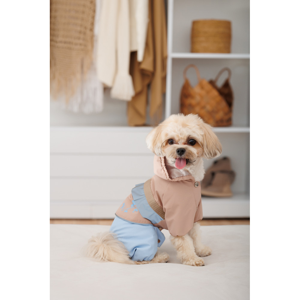 PET FASHION Tina Дощовик для собак7