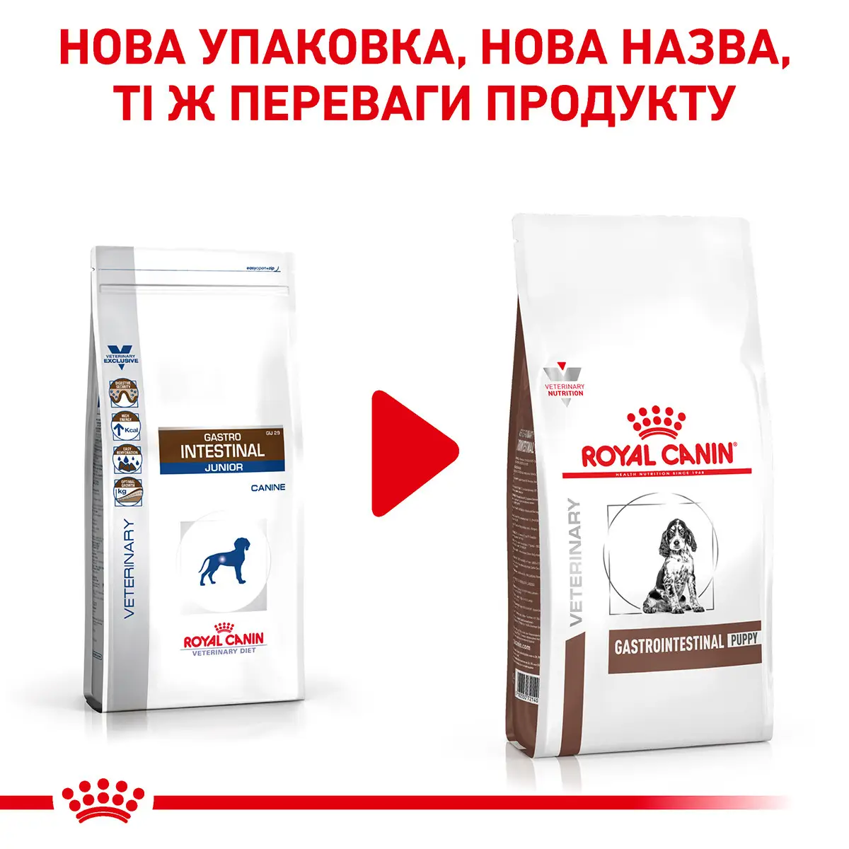 ROYAL CANIN Gastrointestinal Puppy Сухий корм для цуценят1