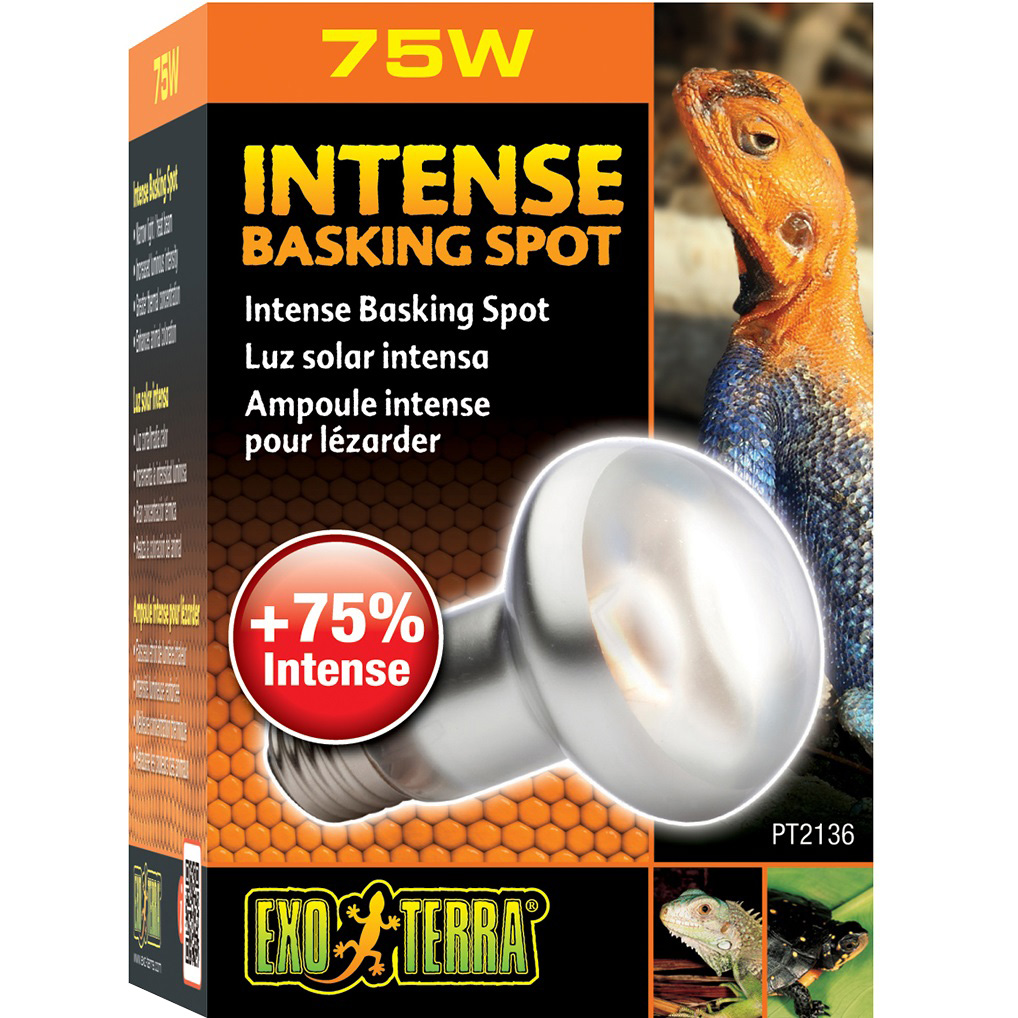 EXO TERRA Intense Basking Spot S20/75W Лампа для террариума0