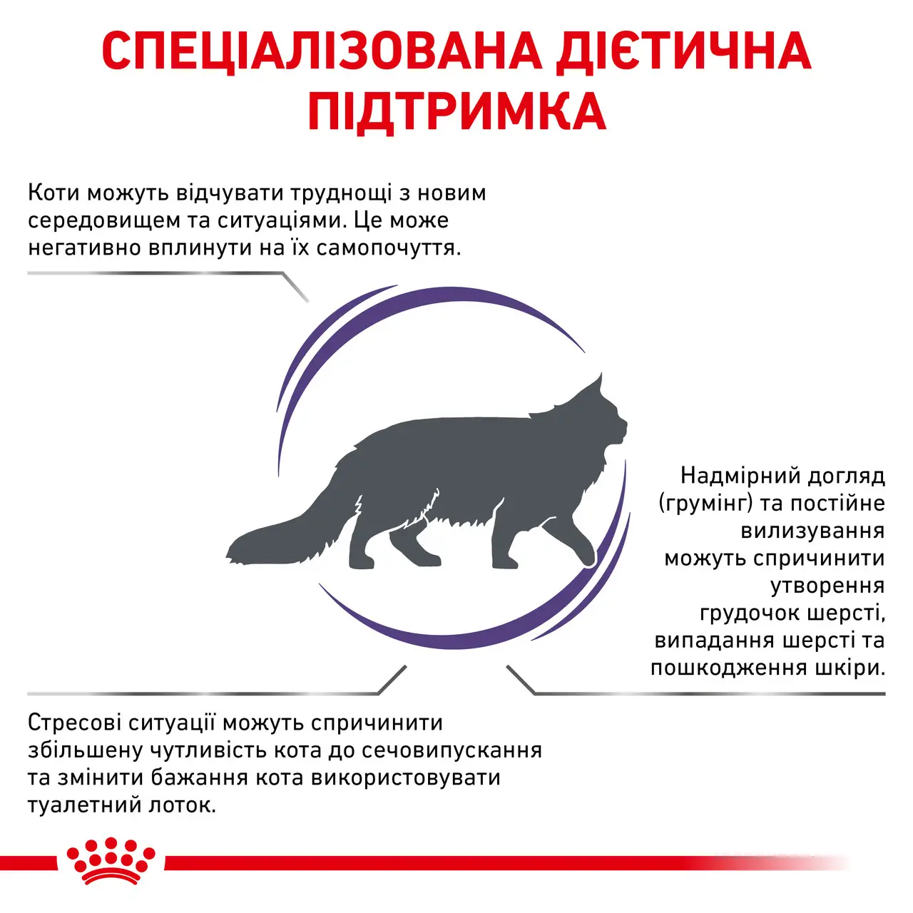 ROYAL CANIN Calm Feline Сухой корм для взрослых котов2