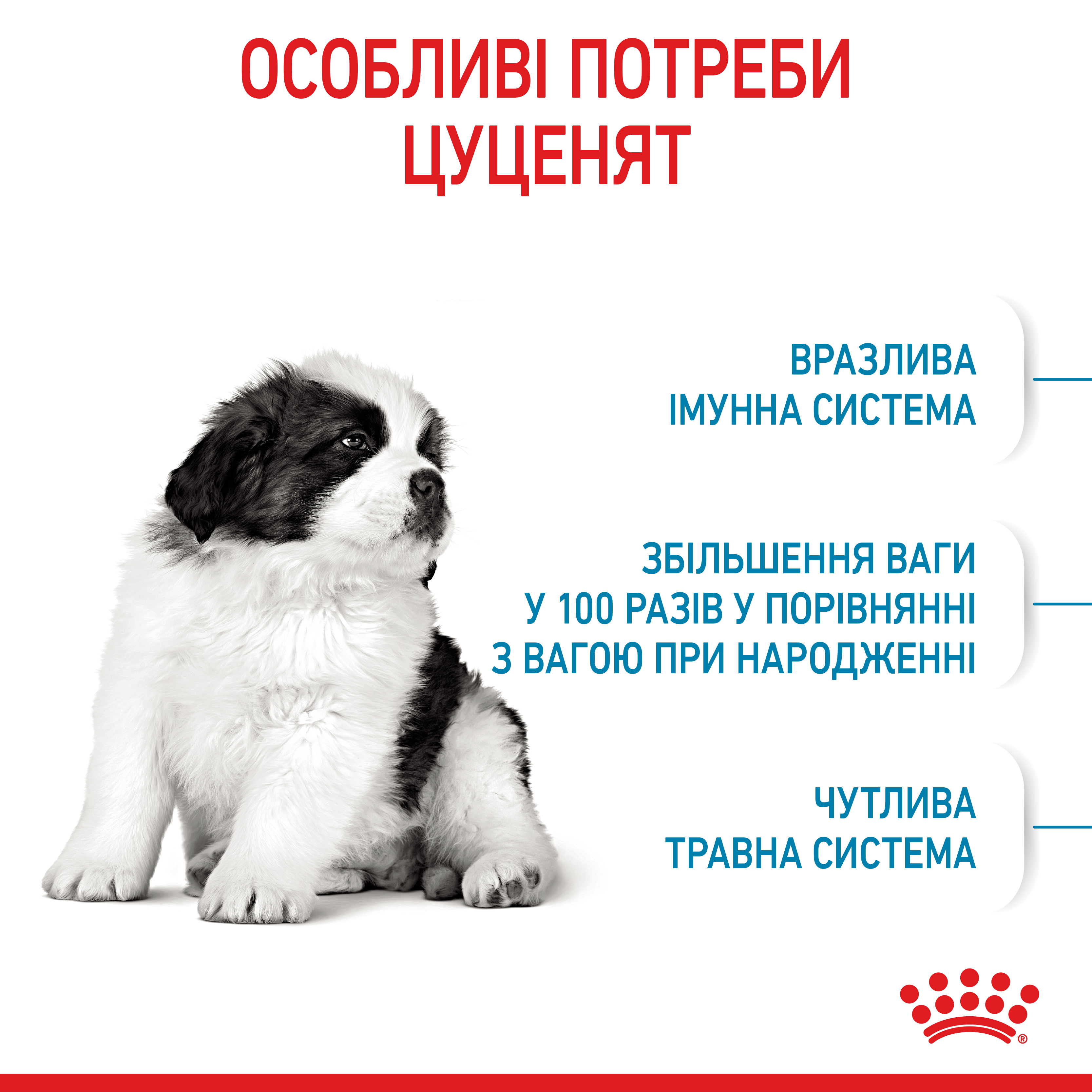 ROYAL CANIN Giant Puppy Сухой корм для щенков гигантских пород до 8 месяцев2