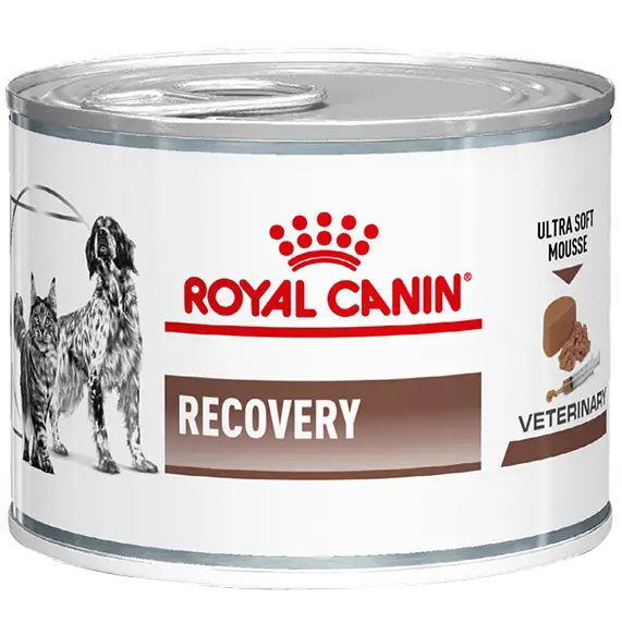 ROYAL CANIN Recovery Вологий корм для дорослих собак та котів0