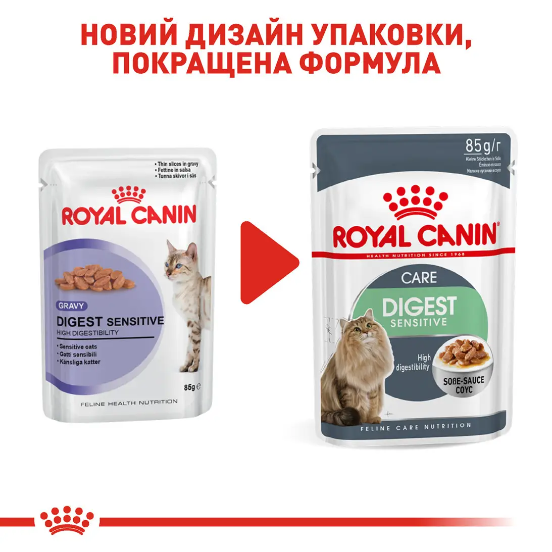 ROYAL CANIN Digest Sensitive Влажный корм для взрослых котов5