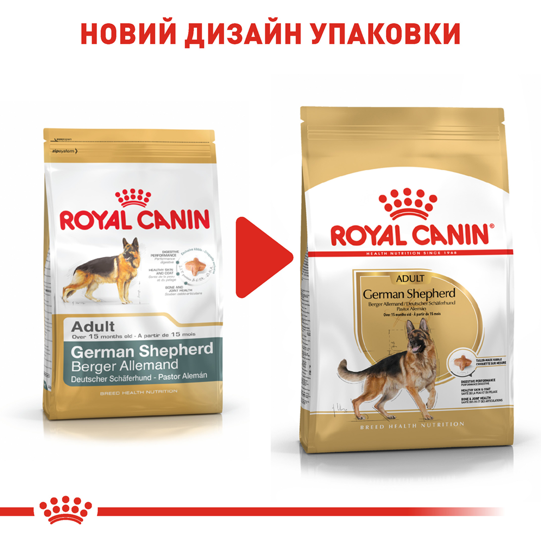 ROYAL CANIN German Shepherd Adult Сухой корм для взрослых собак породы Немецкая Овчарка7