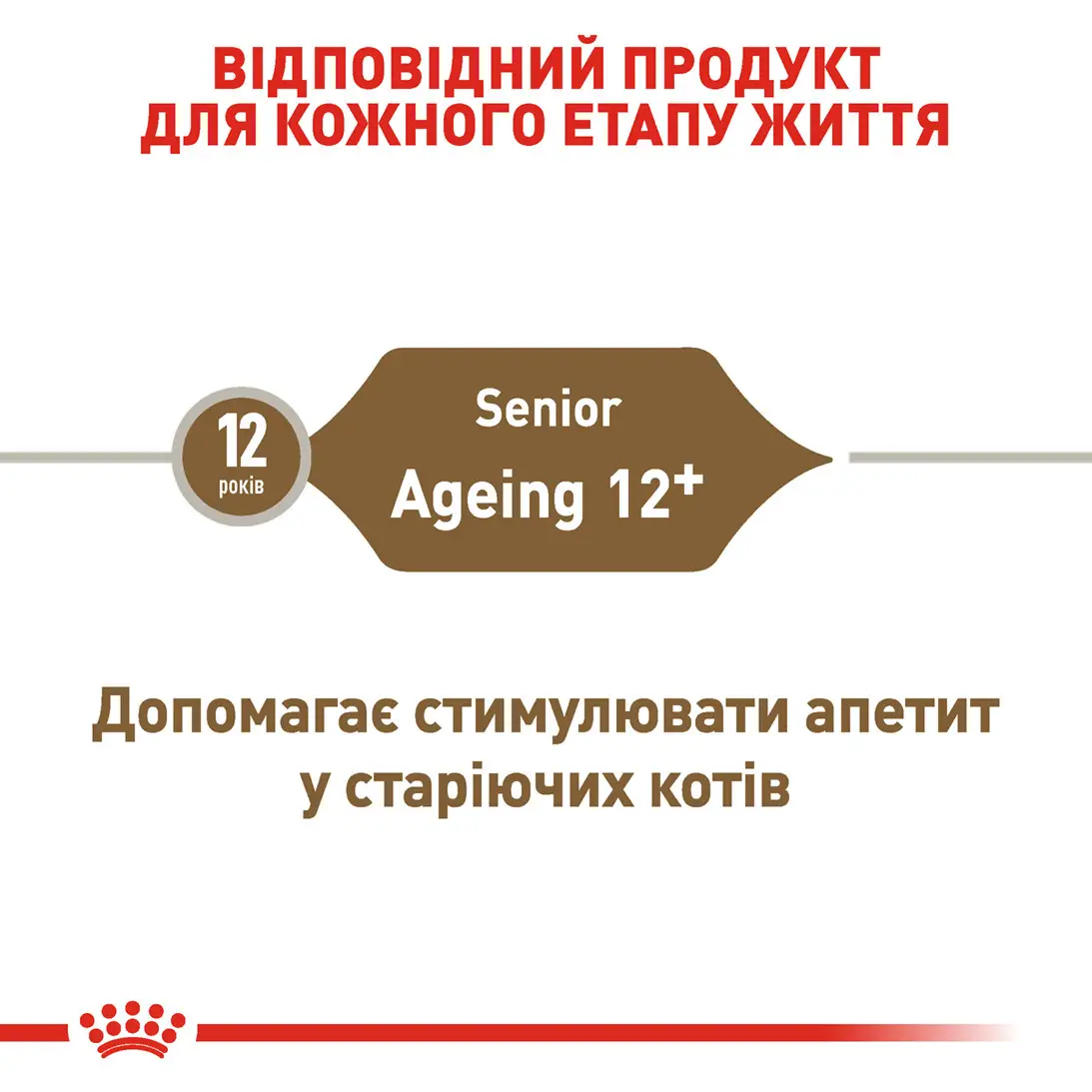 ROYAL CANIN Ageing 12+ Вологий корм для літніх котів1