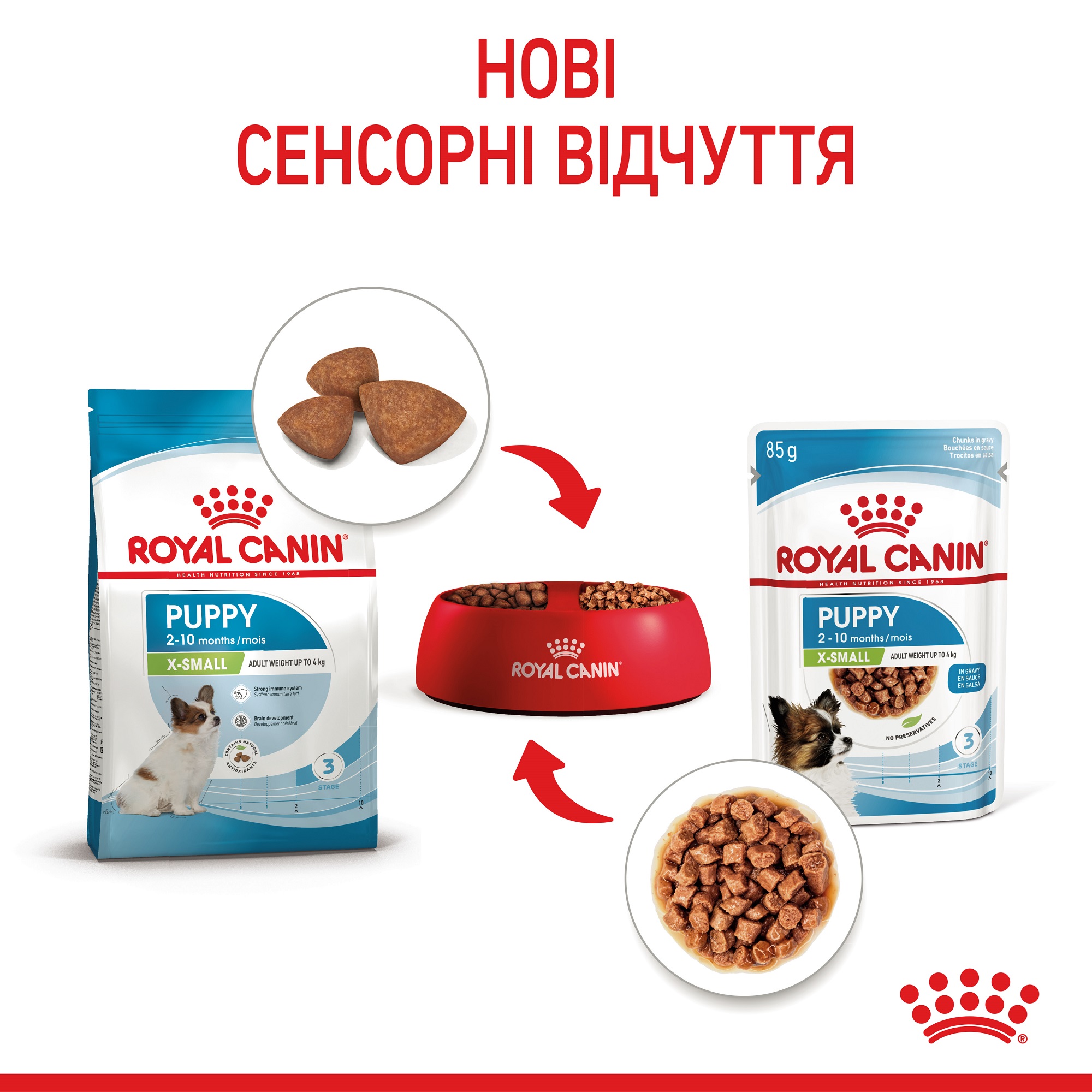 ROYAL CANIN X-Small Puppy Влажный корм для щенков миниатюрных пород6