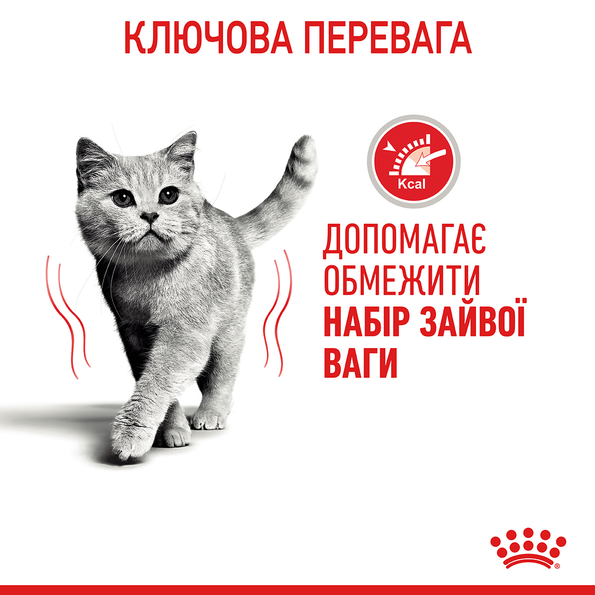 ROYAL CANIN Light Weight Care Сухий корм для дорослих котів із зайвою вагою3