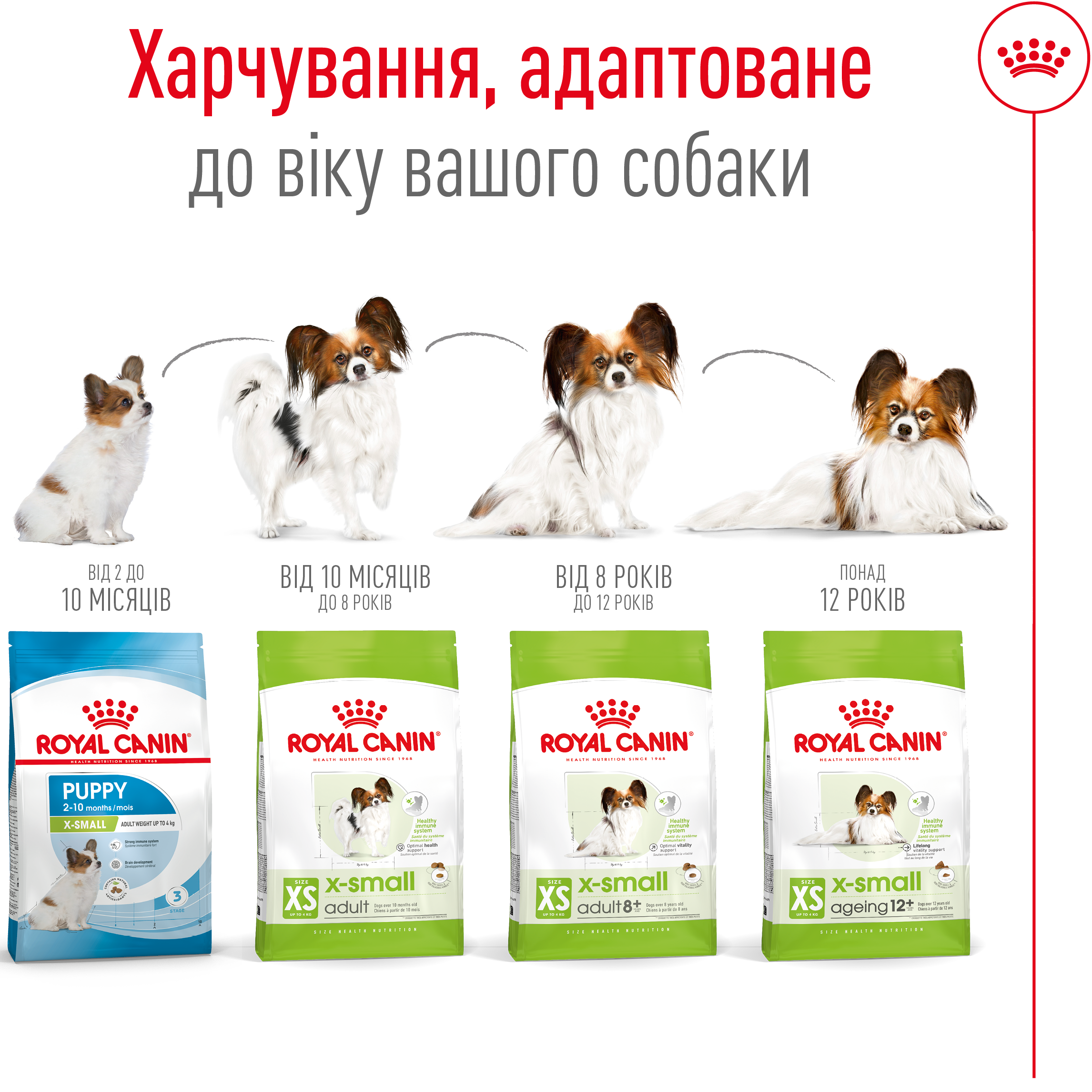 ROYAL CANIN X-Small Adult 8+ Сухий корм для дорослих собак дрібних розмірів (від 8 років)5