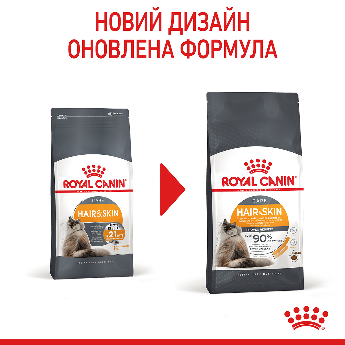 ROYAL CANIN Hair&Skin Care Сухой корм для поддержания здоровья кожи и блеска шерсти у котов10