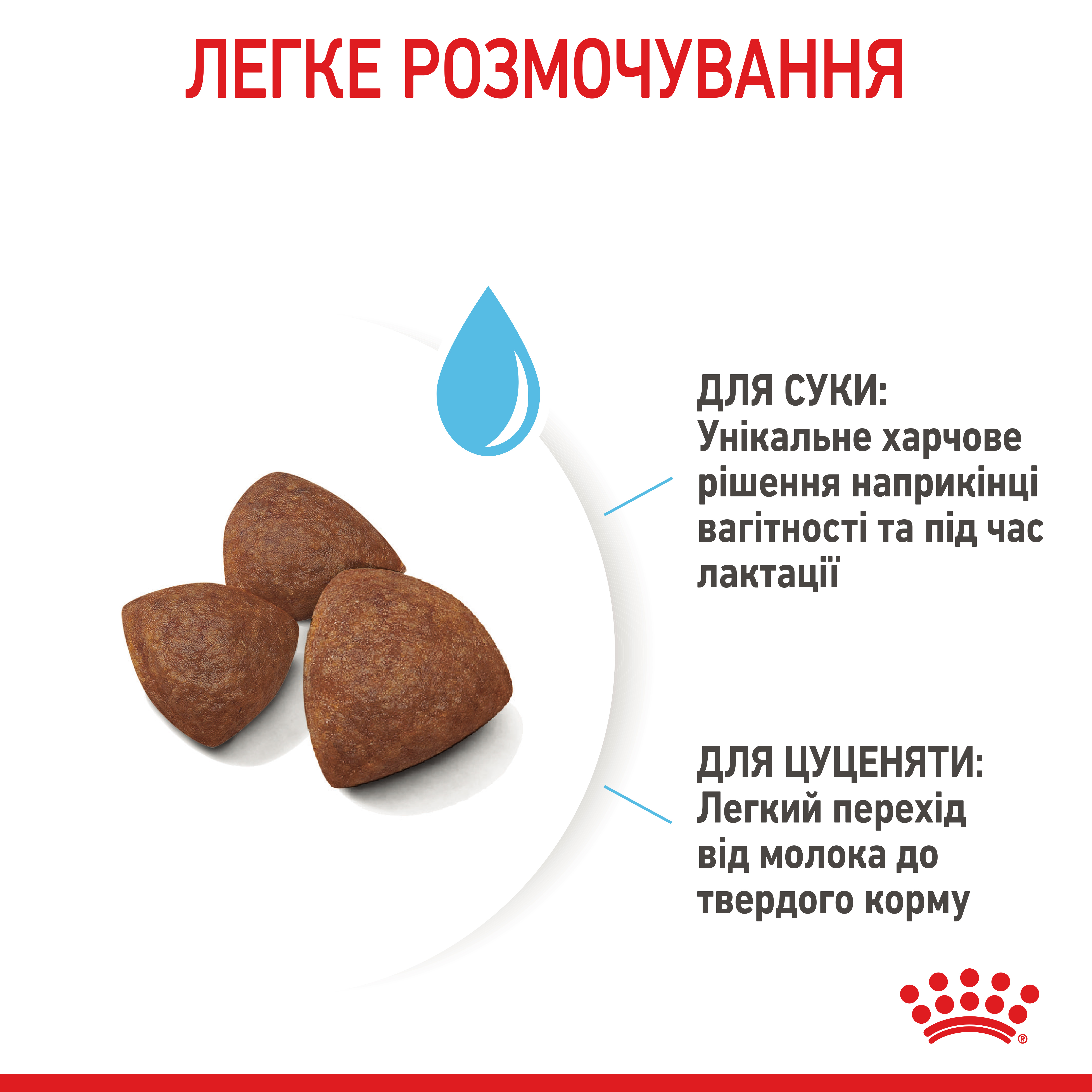 ROYAL CANIN Medium Starter Сухий корм для собак середніх порід4