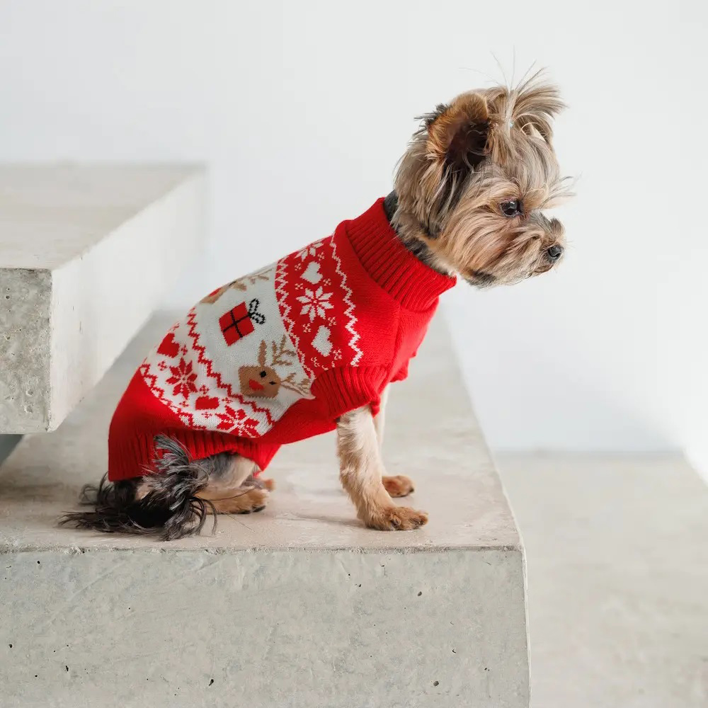 PET FASHION Winter Светр для собак6