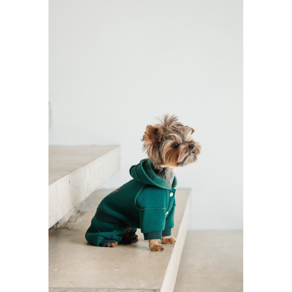 PET FASHION Berry Костюм для собак4