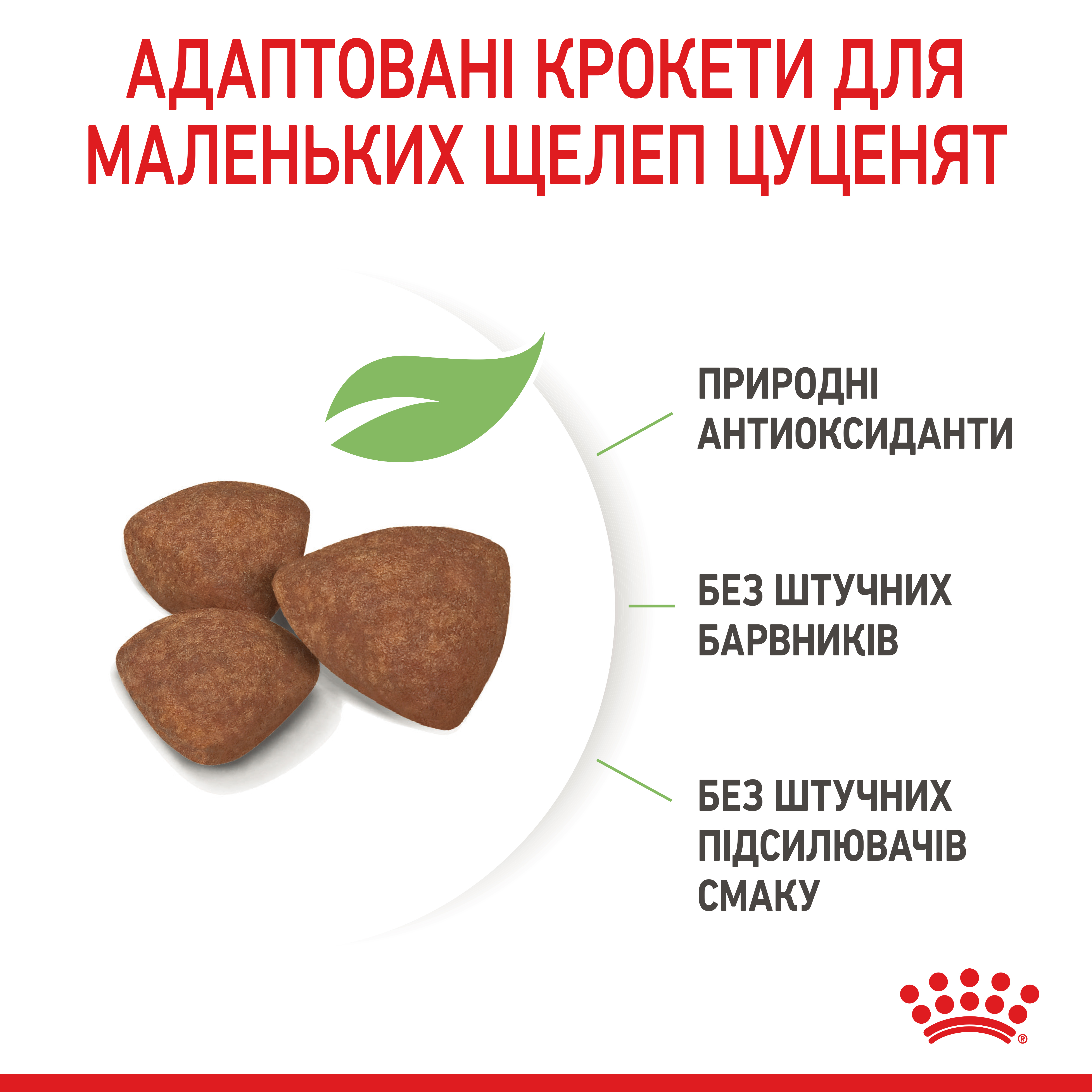 ROYAL CANIN Mini Puppy Сухой корм для щенков мелких пород6