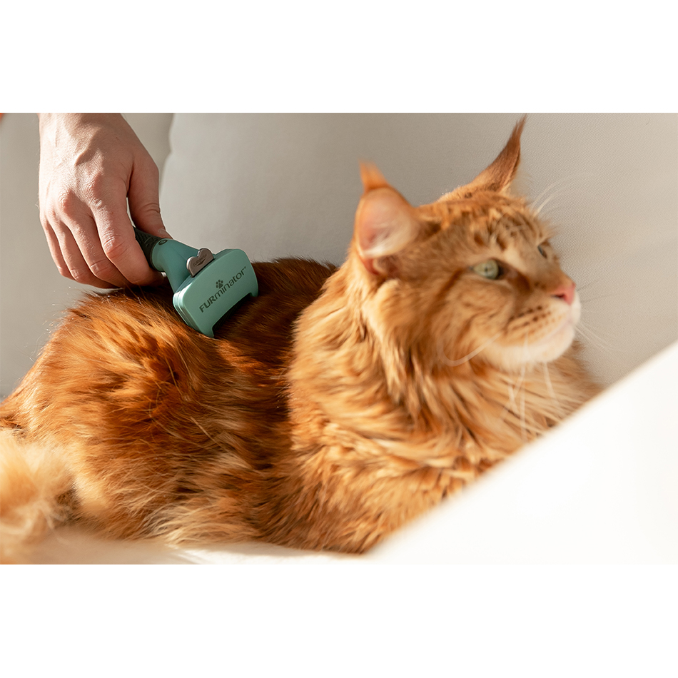 FURminator Long Hair Фурмінатор для довгошерстих котів8